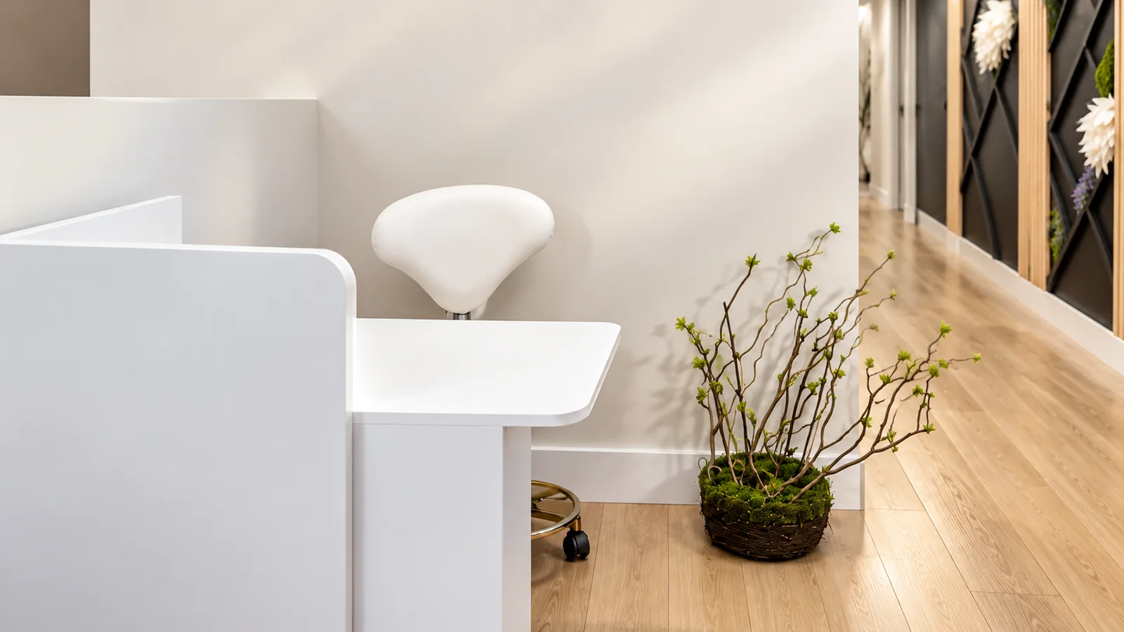 Compact white reception desk and branching plant inspired by the premises.